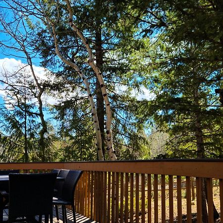 Vila Timber Wolf Woodland Park Exteriér fotografie